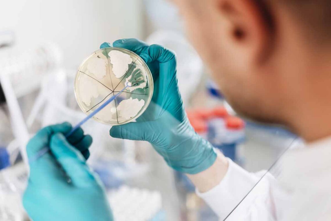 DTU topper Europas patentliste i 2025