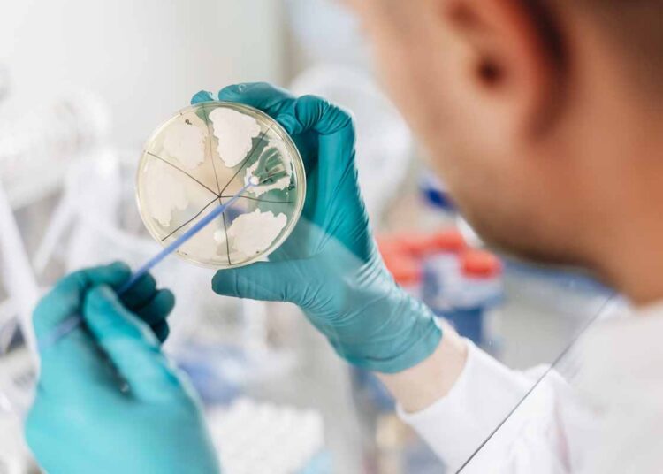 DTU topper Europas patentliste i 2025