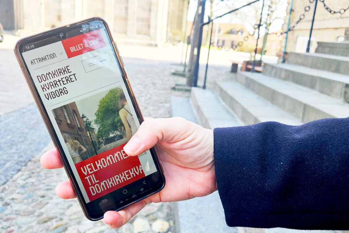 Museer i Viborg samler kræfterne om fælles digital platform