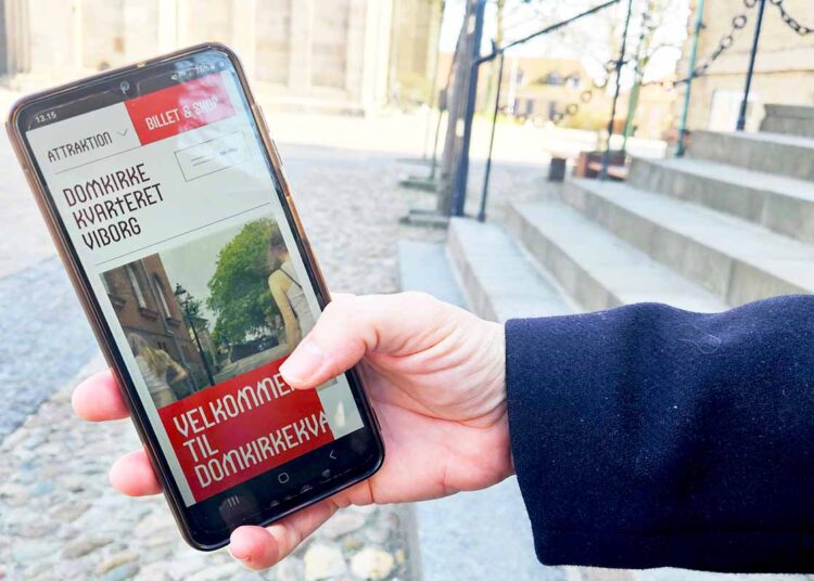 Museer i Viborg samler kræfterne om fælles digital platform