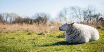 April fører statistikken som Danmarks tørreste måned