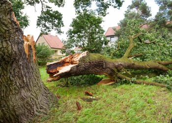 GF og If: Stormen Dave forventes som storm Otto i skader