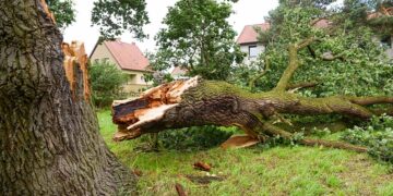 GF og If: Stormen Dave forventes som storm Otto i skader