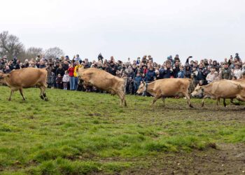 Økodag 2026 tiltrak 125.000 gæster landet over
