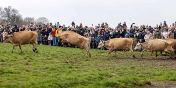 Økodag 2026 tiltrak 125.000 gæster landet over