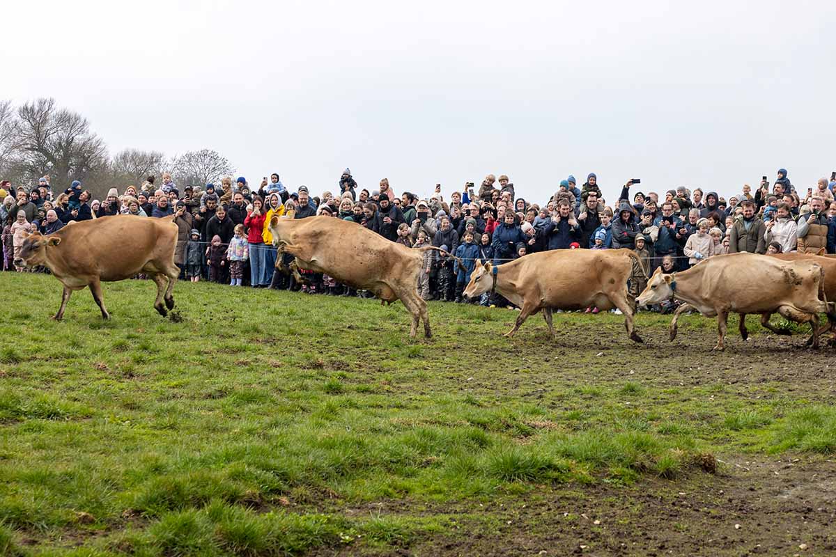 Økodag 2026 tiltrak 125.000 gæster landet over