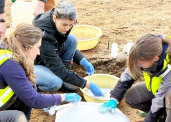 Sjældent arkæologisk fund: Romerske bronzekar fundet i Slesvig