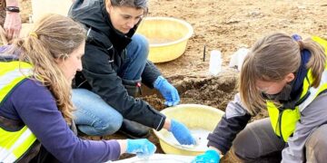 Sjældent arkæologisk fund: Romerske bronzekar fundet i Slesvig