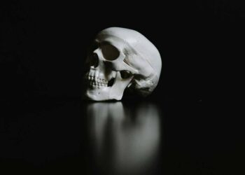 DNA-studie: Stenalderfolk forsvandt efter dramatisk befolkningskollaps