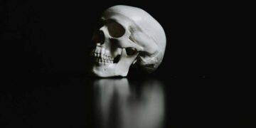 DNA-studie: Stenalderfolk forsvandt efter dramatisk befolkningskollaps